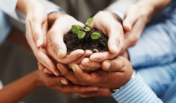 Protek Power Headquarters